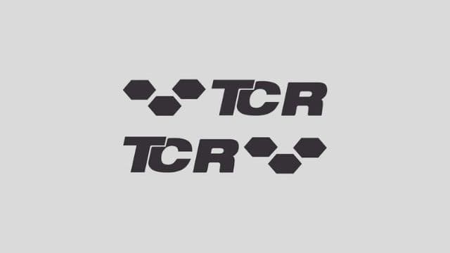 KIT 2 STICKERS compatible TCR Golf Vw — photo 1